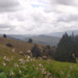 Meet your Posher, Kimberley